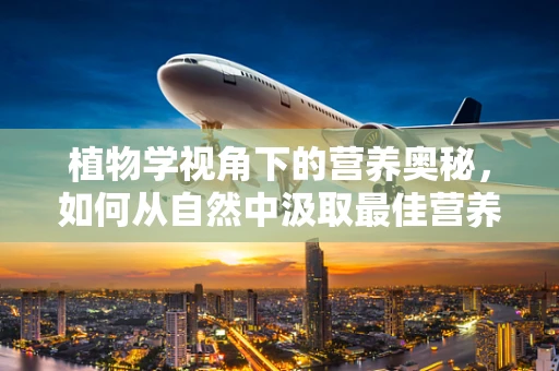植物学视角下的营养奥秘，如何从自然中汲取最佳营养？