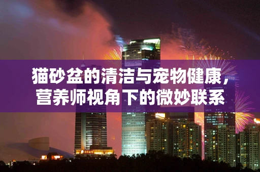 猫砂盆的清洁与宠物健康，营养师视角下的微妙联系