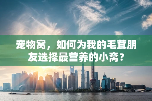 宠物窝，如何为我的毛茸朋友选择最营养的小窝？