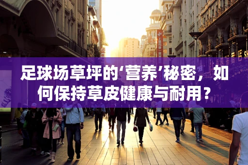 足球场草坪的‘营养’秘密，如何保持草皮健康与耐用？