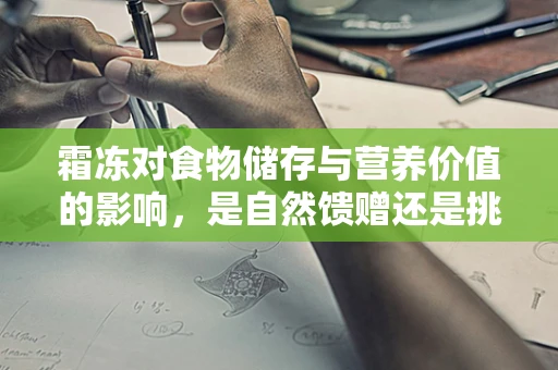 霜冻对食物储存与营养价值的影响，是自然馈赠还是挑战？