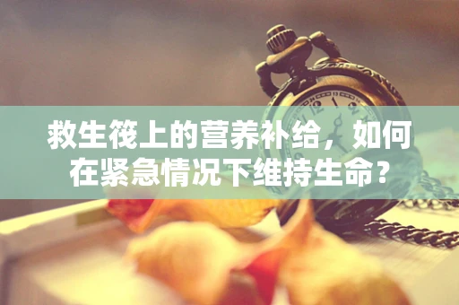 救生筏上的营养补给，如何在紧急情况下维持生命？