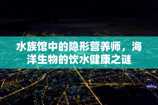 水族馆中的隐形营养师，海洋生物的饮水健康之谜