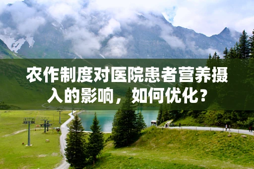 农作制度对医院患者营养摄入的影响，如何优化？