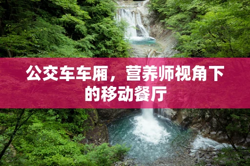 公交车车厢，营养师视角下的移动餐厅
