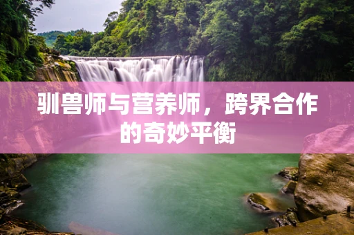 驯兽师与营养师，跨界合作的奇妙平衡