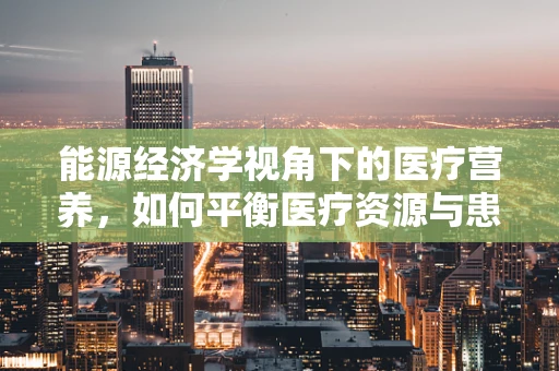 能源经济学视角下的医疗营养，如何平衡医疗资源与患者能量需求？