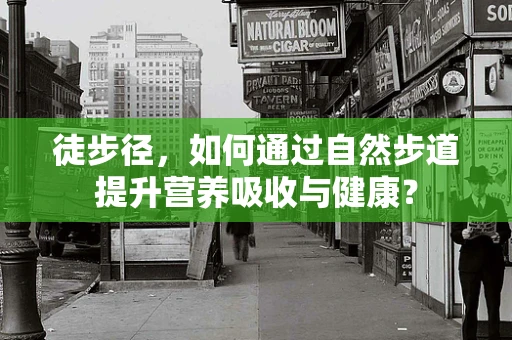 徒步径，如何通过自然步道提升营养吸收与健康？