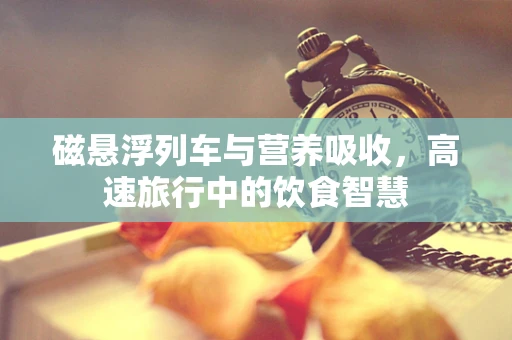 磁悬浮列车与营养吸收，高速旅行中的饮食智慧