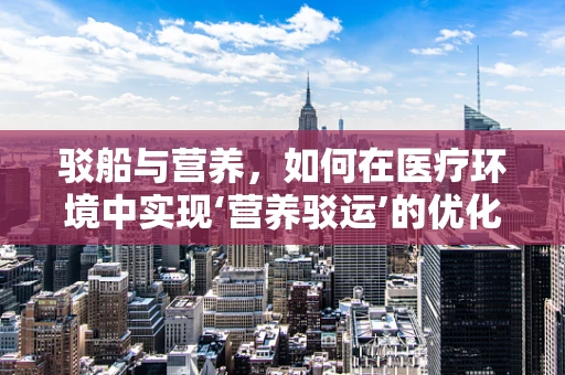 驳船与营养，如何在医疗环境中实现‘营养驳运’的优化？