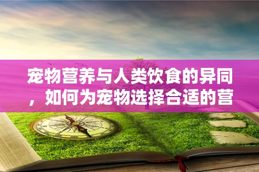 宠物营养与人类饮食的异同，如何为宠物选择合适的营养餐盘？