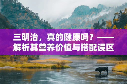 三明治，真的健康吗？——解析其营养价值与搭配误区