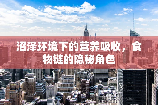 沼泽环境下的营养吸收，食物链的隐秘角色