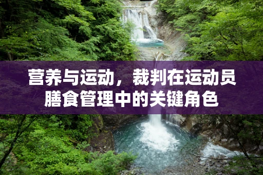 营养与运动，裁判在运动员膳食管理中的关键角色