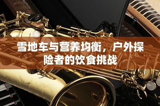 雪地车与营养均衡，户外探险者的饮食挑战
