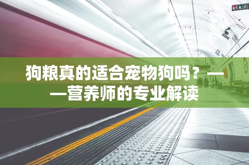 狗粮真的适合宠物狗吗？——营养师的专业解读