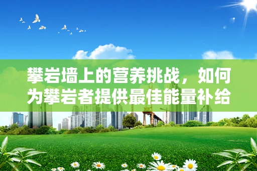攀岩墙上的营养挑战，如何为攀岩者提供最佳能量补给？