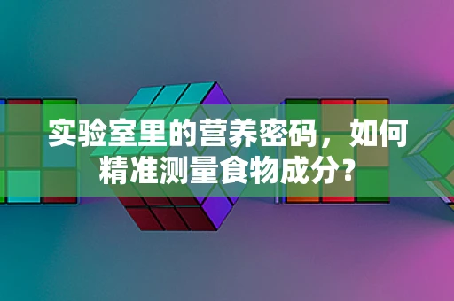 实验室里的营养密码，如何精准测量食物成分？