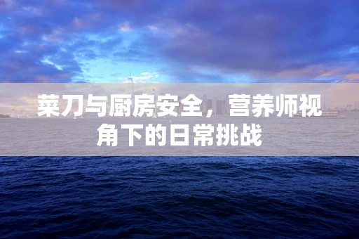 菜刀与厨房安全，营养师视角下的日常挑战