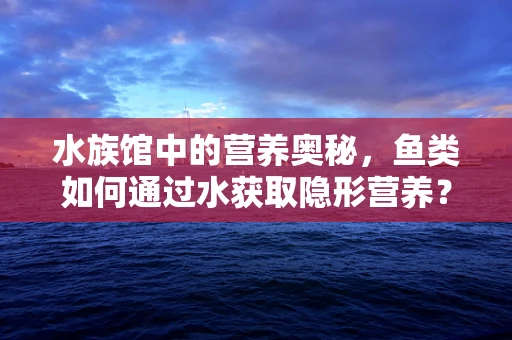水族馆中的营养奥秘，鱼类如何通过水获取隐形营养？
