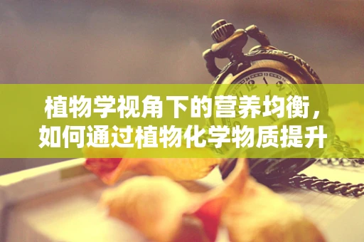 植物学视角下的营养均衡，如何通过植物化学物质提升饮食质量？