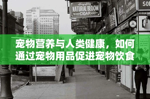 宠物营养与人类健康，如何通过宠物用品促进宠物饮食均衡？