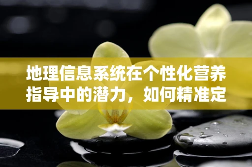 地理信息系统在个性化营养指导中的潜力，如何精准定位患者需求？