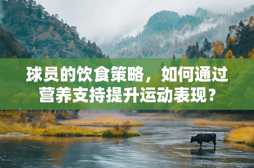 球员的饮食策略，如何通过营养支持提升运动表现？
