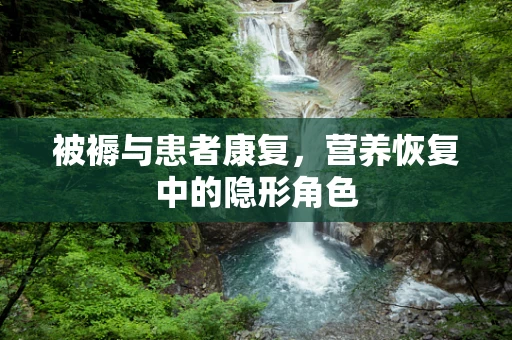 被褥与患者康复，营养恢复中的隐形角色