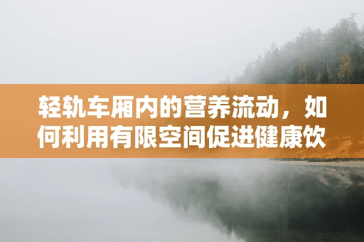 轻轨车厢内的营养流动，如何利用有限空间促进健康饮食习惯？