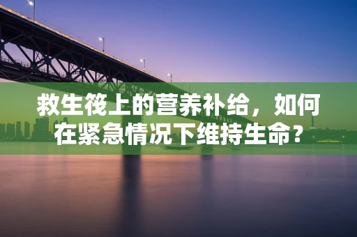 救生筏上的营养补给，如何在紧急情况下维持生命？