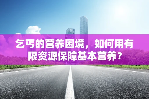 乞丐的营养困境，如何用有限资源保障基本营养？