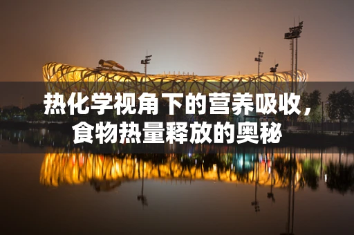 热化学视角下的营养吸收，食物热量释放的奥秘