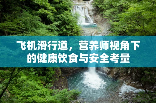 飞机滑行道，营养师视角下的健康饮食与安全考量