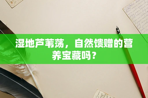 湿地芦苇荡，自然馈赠的营养宝藏吗？