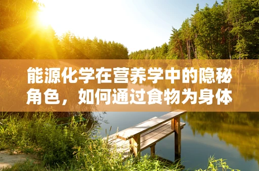 能源化学在营养学中的隐秘角色，如何通过食物为身体提供‘绿色’能源？