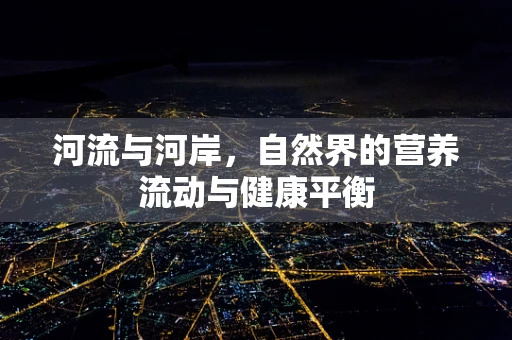河流与河岸，自然界的营养流动与健康平衡