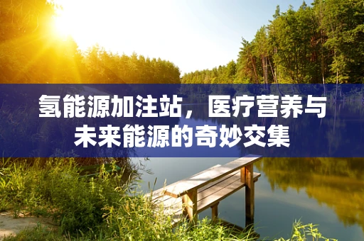 氢能源加注站，医疗营养与未来能源的奇妙交集