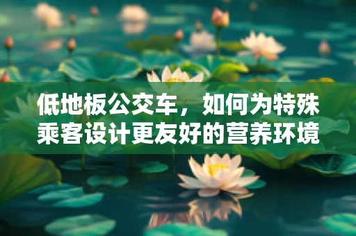 低地板公交车，如何为特殊乘客设计更友好的营养环境？