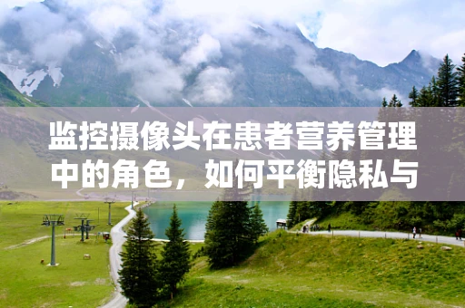 监控摄像头在患者营养管理中的角色，如何平衡隐私与监控？