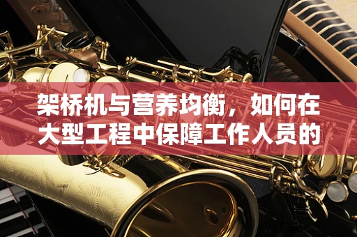 架桥机与营养均衡，如何在大型工程中保障工作人员的饮食健康？