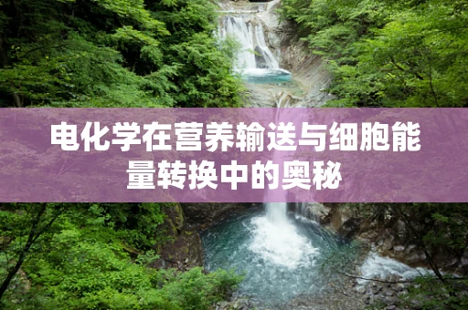电化学在营养输送与细胞能量转换中的奥秘