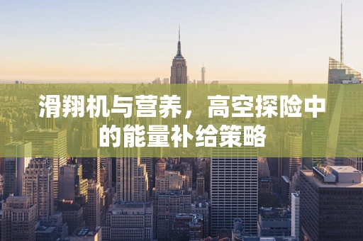 滑翔机与营养，高空探险中的能量补给策略