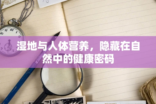 湿地与人体营养，隐藏在自然中的健康密码