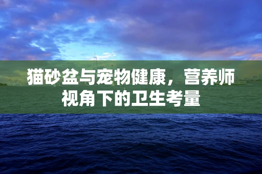 猫砂盆与宠物健康，营养师视角下的卫生考量