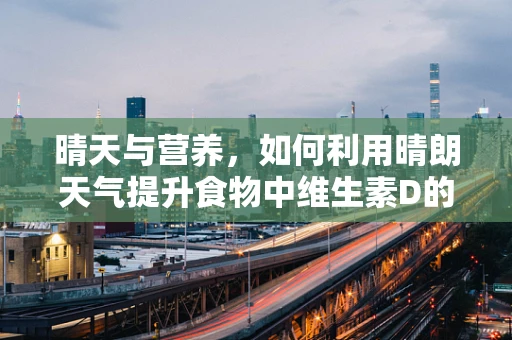 晴天与营养，如何利用晴朗天气提升食物中维生素D的吸收？