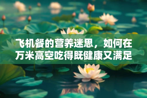 飞机餐的营养迷思，如何在万米高空吃得既健康又满足？