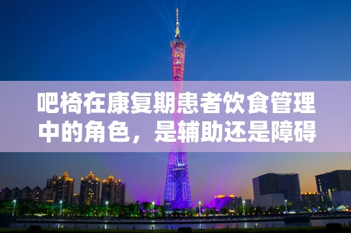 吧椅在康复期患者饮食管理中的角色，是辅助还是障碍？