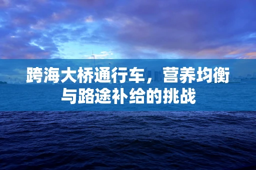 跨海大桥通行车，营养均衡与路途补给的挑战