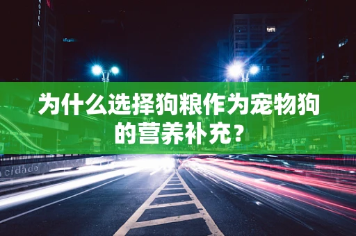 为什么选择狗粮作为宠物狗的营养补充？